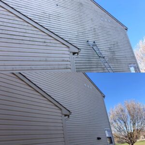 Before and after house washing in Indianapolis