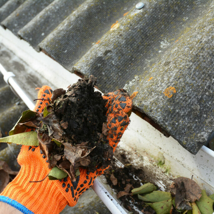 Gutter Debris Removal and Restoration in Indianapolis